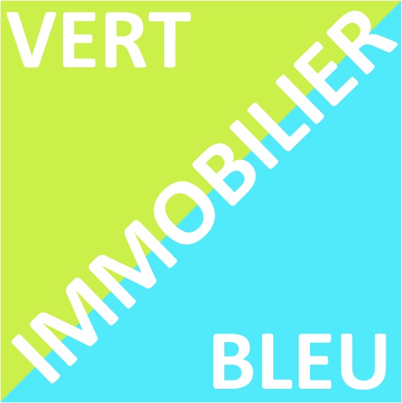 logo_vertetbleu